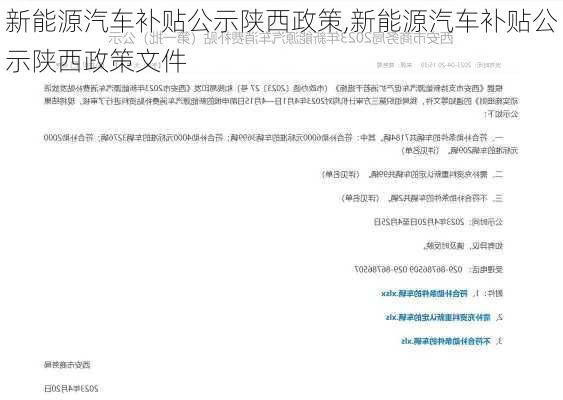 新能源汽车补贴公示陕西政策,新能源汽车补贴公示陕西政策文件-第3张图片-苏希特新能源