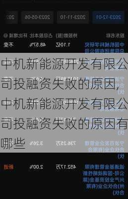 中机新能源开发有限公司投融资失败的原因,中机新能源开发有限公司投融资失败的原因有哪些-第2张图片-苏希特新能源