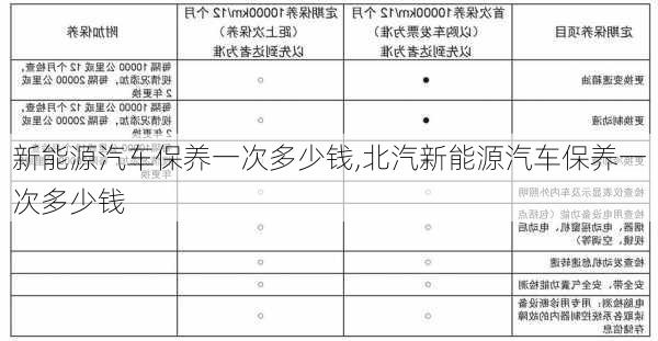 新能源汽车保养一次多少钱,北汽新能源汽车保养一次多少钱-第3张图片-苏希特新能源