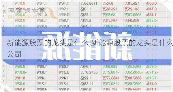 新能源股票的龙头是什么,新能源股票的龙头是什么公司-第2张图片-苏希特新能源