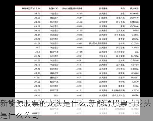 新能源股票的龙头是什么,新能源股票的龙头是什么公司-第3张图片-苏希特新能源