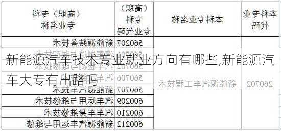 新能源汽车技术专业就业方向有哪些,新能源汽车大专有出路吗