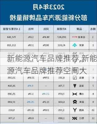 新能源汽车品牌推荐,新能源汽车品牌推荐空间大-第2张图片-苏希特新能源