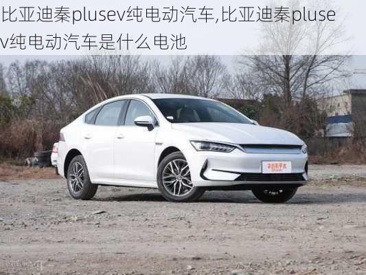 比亚迪秦plusev纯电动汽车,比亚迪秦plusev纯电动汽车是什么电池