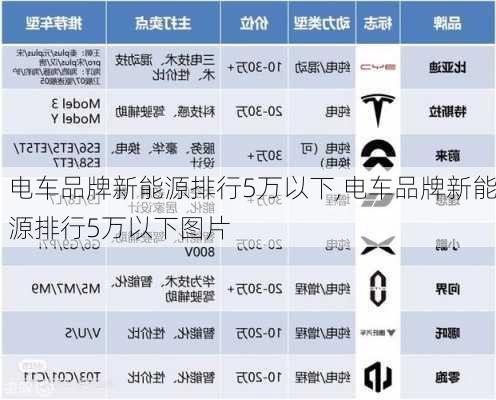 电车品牌新能源排行5万以下,电车品牌新能源排行5万以下图片