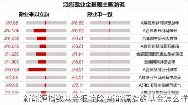 新能源指数基金很惊险,新能源指数基金怎么样-第3张图片-苏希特新能源