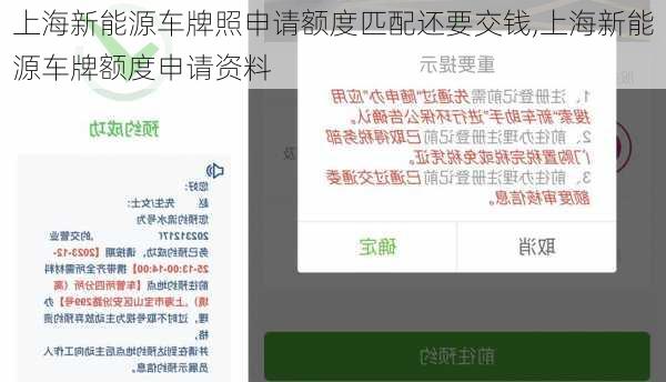 上海新能源车牌照申请额度匹配还要交钱,上海新能源车牌额度申请资料-第3张图片-苏希特新能源