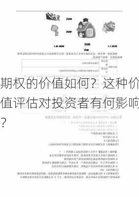 期权的价值如何？这种价值评估对投资者有何影响？-第2张图片-苏希特新能源