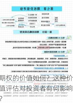 期权的价值如何？这种价值评估对投资者有何影响？-第3张图片-苏希特新能源