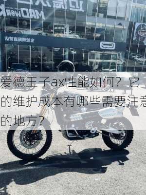 爱德王子ax性能如何？它的维护成本有哪些需要注意的地方？-第3张图片-苏希特新能源