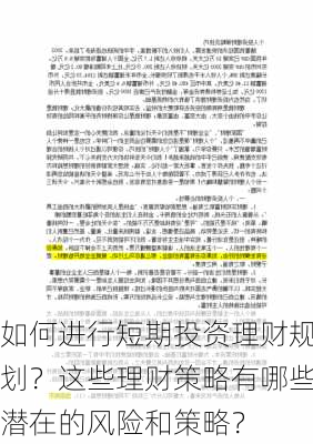 如何进行短期投资理财规划？这些理财策略有哪些潜在的风险和策略？-第2张图片-苏希特新能源