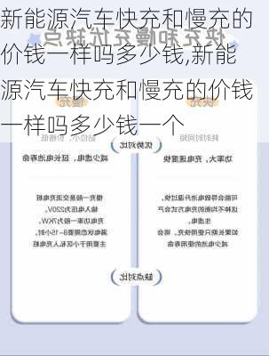 新能源汽车快充和慢充的价钱一样吗多少钱,新能源汽车快充和慢充的价钱一样吗多少钱一个-第1张图片-苏希特新能源