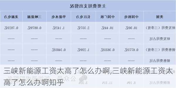 三峡新能源工资太高了怎么办啊,三峡新能源工资太高了怎么办啊知乎-第2张图片-苏希特新能源