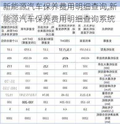 新能源汽车保养费用明细查询,新能源汽车保养费用明细查询系统-第3张图片-苏希特新能源