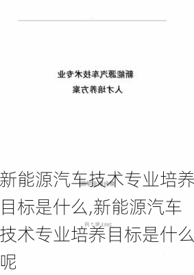 新能源汽车技术专业培养目标是什么,新能源汽车技术专业培养目标是什么呢-第3张图片-苏希特新能源