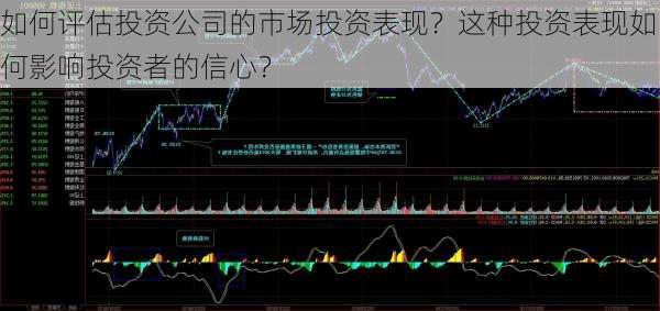 如何评估投资公司的市场投资表现？这种投资表现如何影响投资者的信心？-第1张图片-苏希特新能源