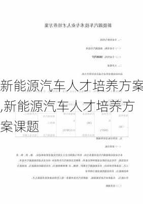 新能源汽车人才培养方案,新能源汽车人才培养方案课题-第3张图片-苏希特新能源