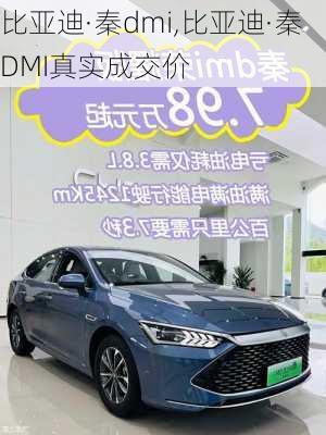 比亚迪·秦dmi,比亚迪·秦DMI真实成交价-第1张图片-苏希特新能源