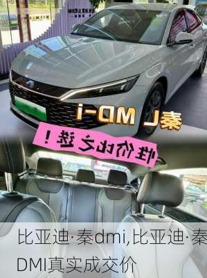 比亚迪·秦dmi,比亚迪·秦DMI真实成交价-第3张图片-苏希特新能源