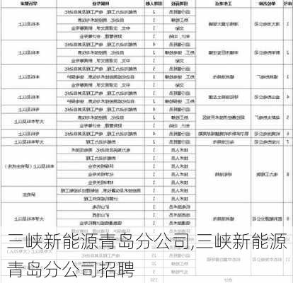 三峡新能源青岛分公司,三峡新能源青岛分公司招聘-第2张图片-苏希特新能源