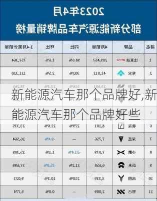 新能源汽车那个品牌好,新能源汽车那个品牌好些-第3张图片-苏希特新能源