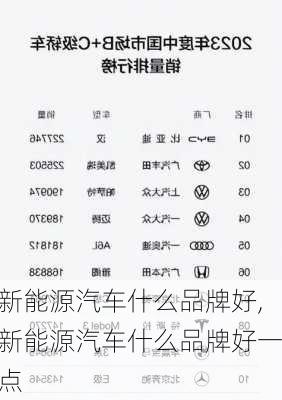 新能源汽车什么品牌好,新能源汽车什么品牌好一点-第3张图片-苏希特新能源