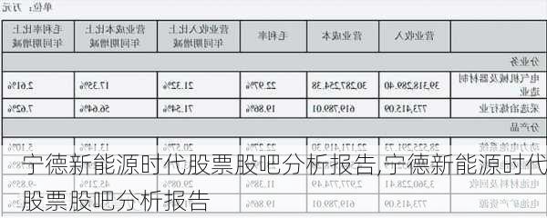 宁德新能源时代股票股吧分析报告,宁德新能源时代股票股吧分析报告-第2张图片-苏希特新能源