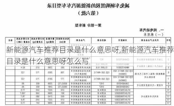 新能源汽车推荐目录是什么意思呀,新能源汽车推荐目录是什么意思呀怎么写