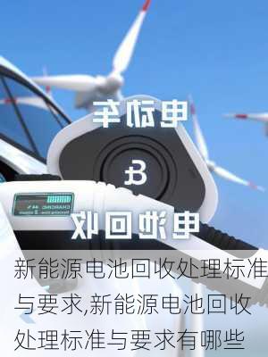 新能源电池回收处理标准与要求,新能源电池回收处理标准与要求有哪些-第2张图片-苏希特新能源