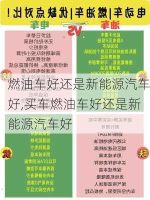 燃油车好还是新能源汽车好,买车燃油车好还是新能源汽车好-第3张图片-苏希特新能源