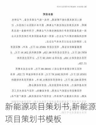 新能源项目策划书,新能源项目策划书模板-第3张图片-苏希特新能源