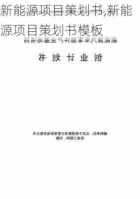 新能源项目策划书,新能源项目策划书模板-第2张图片-苏希特新能源