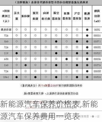 新能源汽车保养价格表,新能源汽车保养费用一览表-第3张图片-苏希特新能源