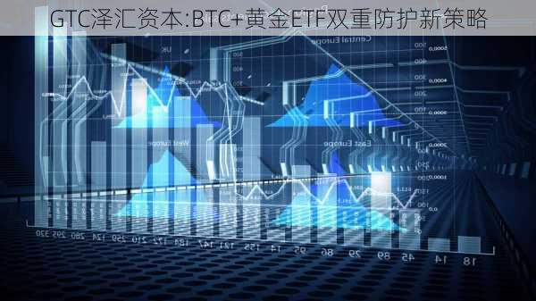 GTC泽汇资本:BTC+黄金ETF双重防护新策略-第2张图片-苏希特新能源