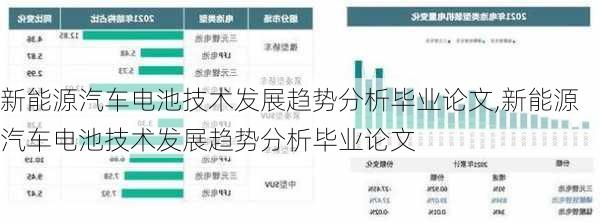 新能源汽车电池技术发展趋势分析毕业论文,新能源汽车电池技术发展趋势分析毕业论文-第3张图片-苏希特新能源