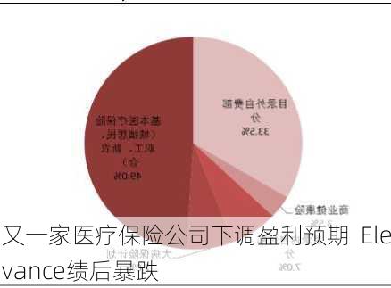 又一家医疗保险公司下调盈利预期  Elevance绩后暴跌-第2张图片-苏希特新能源