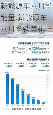 新能源车八月份销量,新能源车八月份销量排行-第1张图片-苏希特新能源