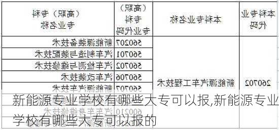 新能源专业学校有哪些大专可以报,新能源专业学校有哪些大专可以报的-第3张图片-苏希特新能源