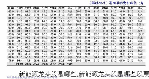 新能源龙头股是哪些,新能源龙头股是哪些股票-第3张图片-苏希特新能源