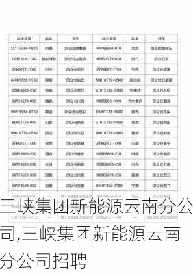 三峡集团新能源云南分公司,三峡集团新能源云南分公司招聘-第2张图片-苏希特新能源