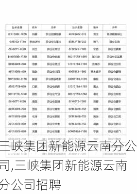 三峡集团新能源云南分公司,三峡集团新能源云南分公司招聘-第1张图片-苏希特新能源