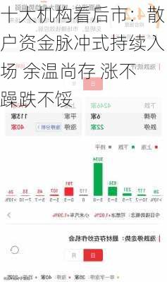 十大机构看后市：散户资金脉冲式持续入场 余温尚存 涨不躁跌不馁