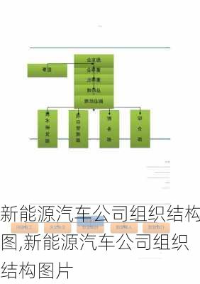 新能源汽车公司组织结构图,新能源汽车公司组织结构图片-第1张图片-苏希特新能源