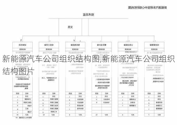 新能源汽车公司组织结构图,新能源汽车公司组织结构图片-第2张图片-苏希特新能源