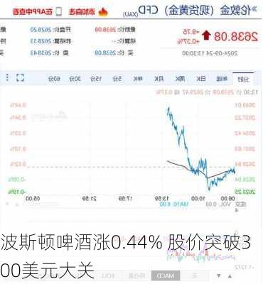 波斯顿啤酒涨0.44% 股价突破300美元大关-第2张图片-苏希特新能源