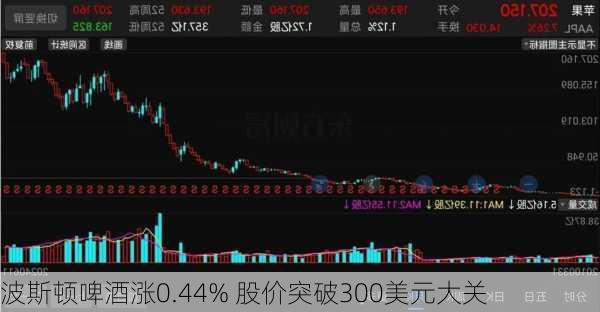 波斯顿啤酒涨0.44% 股价突破300美元大关-第1张图片-苏希特新能源