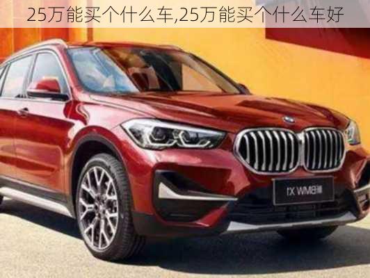 25万能买个什么车,25万能买个什么车好-第2张图片-苏希特新能源