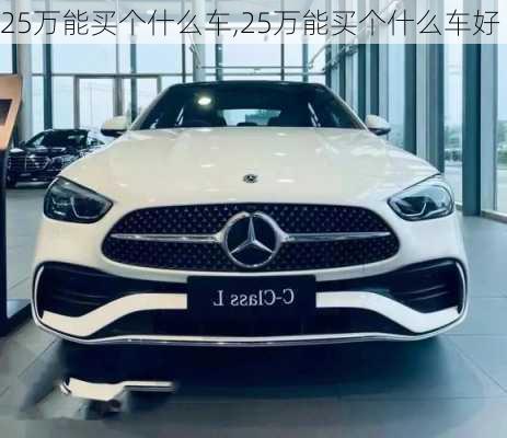 25万能买个什么车,25万能买个什么车好-第1张图片-苏希特新能源