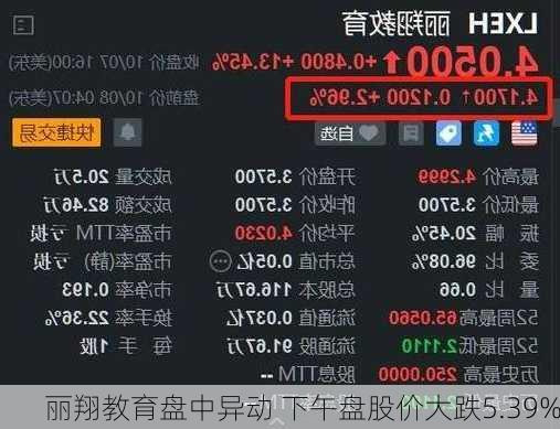 丽翔教育盘中异动 下午盘股价大跌5.39%-第1张图片-苏希特新能源