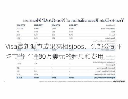 Visa最新调查成果亮相sibos，头部公司平均节省了1100万美元的利息和费用-第2张图片-苏希特新能源